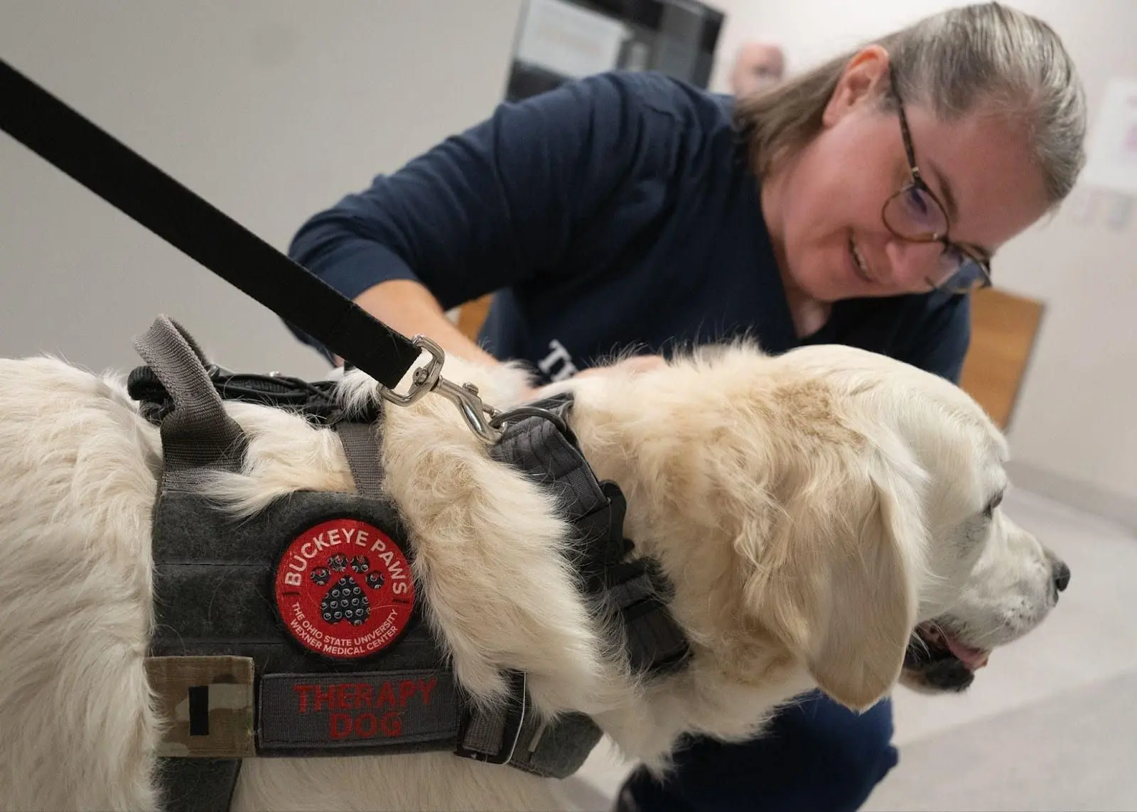 Read how therapy dogs in the Buckeye Paws program provide stress relief and improve mood for healthcare workers. Learn about the study’s findings and its impact on combating burnout.